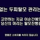 도도헤어갤러리 이미지