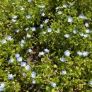 이천 경로당 | 용인이천안성평택동탄 노래교실추천 흥부자와 함께하는 복지관 경로당 장애인시설 노래강사 추천