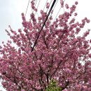 선동1리경로당 이미지