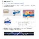 민트클리닉