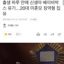 출생 하루 만에 신생아 베이비박스 유기…20대 미혼모 징역형 집유 이미지