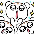 D-23 이미지