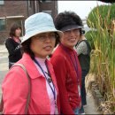 충주여자중학교 이미지