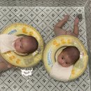 달다스테이 이미지