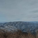 오대목장한우 | 오대산국립공원 백두대간의 중추이자 역사적 성지 추천여행