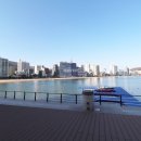 남천1-213 이미지