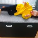 [이케아 패밀리 세일] 장난감정리함/STUVA스투바/FRITIDS프리티스 벤치 수납장 구매후기