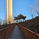 씨사이드파크 영종진 화장실 | 인천 영종도 구읍뱃터 강아지랑 가볼 만한 곳 <씨사이드 파크 영종진 구역>