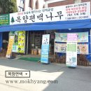 목향편백 이미지