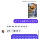 맘스터치수정점 | 19도의 4월 공유합니다