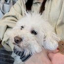 모찌네호캉스 이미지