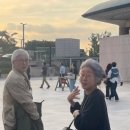 럭셔리백