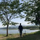 두물머리화장실(나루터) 이미지