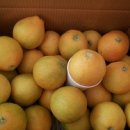 달콤하우스 이미지