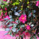 삼신농장 이미지