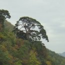 천연머리염색전문점 이미지