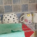 별둘펜션 이미지