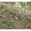 한서농장 이미지