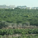 의석농장 이미지