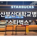 블루포트양산부산대학교