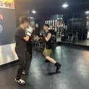 복서(BOXER) 삼성센터 이미지