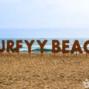 양양팜서프 이미지