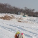 독립기념관캠핑장 이미지