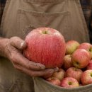 아이엠팜 이미지