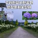 한강시민공원(한강둔치꽃단지) 이미지