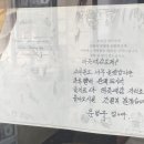 동화반점 매일경제