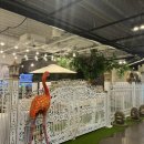 브룩스캣슬 이미지