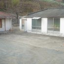 촌집 Daum카페