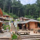 영희네 체험민박 이미지