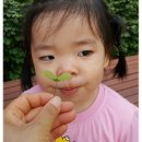 사랑샘어린이집 이미지