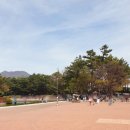 꿈이 자라는 작은도서관 이미지