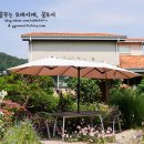 장미카페 - 청양군 중앙로열길 9 | 장미카페