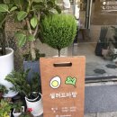 샐러드마망 이미지