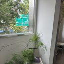 애니카랜드 합정점 | 합정 망원 사이 감성카페 , 엔엘커피 솔직후기