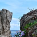 바다사냥 - 전주시 완산구 고사평로 16 | 바다사냥
