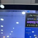 야옹아 멍멍해봐(에코시티점) | 전주 송천동 애견용품점 야옹아 멍멍해봐