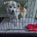 남원동물병원 이미지