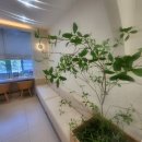 이로여성의원 이미지