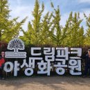 ❤️ 2023년 10월 22일(일요일) 인천드림파크 야생화공원 걷기 사진(1) 이미지