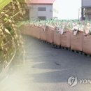 광복영농조합법인 이미지