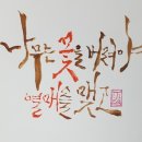 나무와 해(海) 이미지
