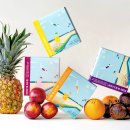 심심Free | 인스타그램 공구에 푹 빠졌던(과거형임.) 주인장의 성공템/실패템 내돈내산 후기