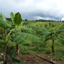 고지농장 이미지