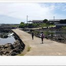 올레캠프본점알파캠프 이미지