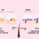퓨어슈가링