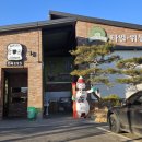 전곡읍-22 | 연천 전곡293 베이커리 카페 후기｜가족도 혼자도 편한 카페